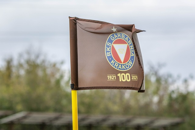 强队沙特的 强队沙特的