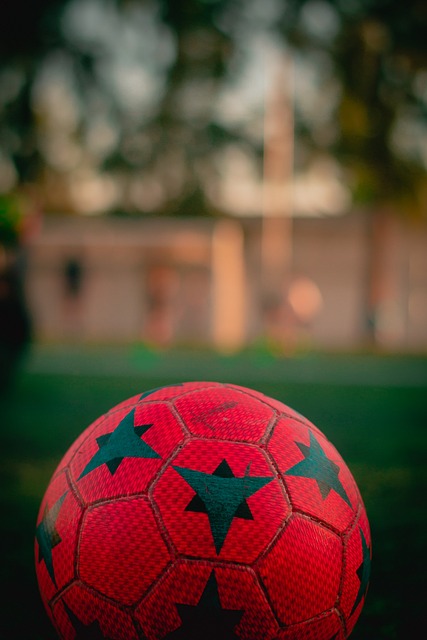 名種族歧視 名種族歧視