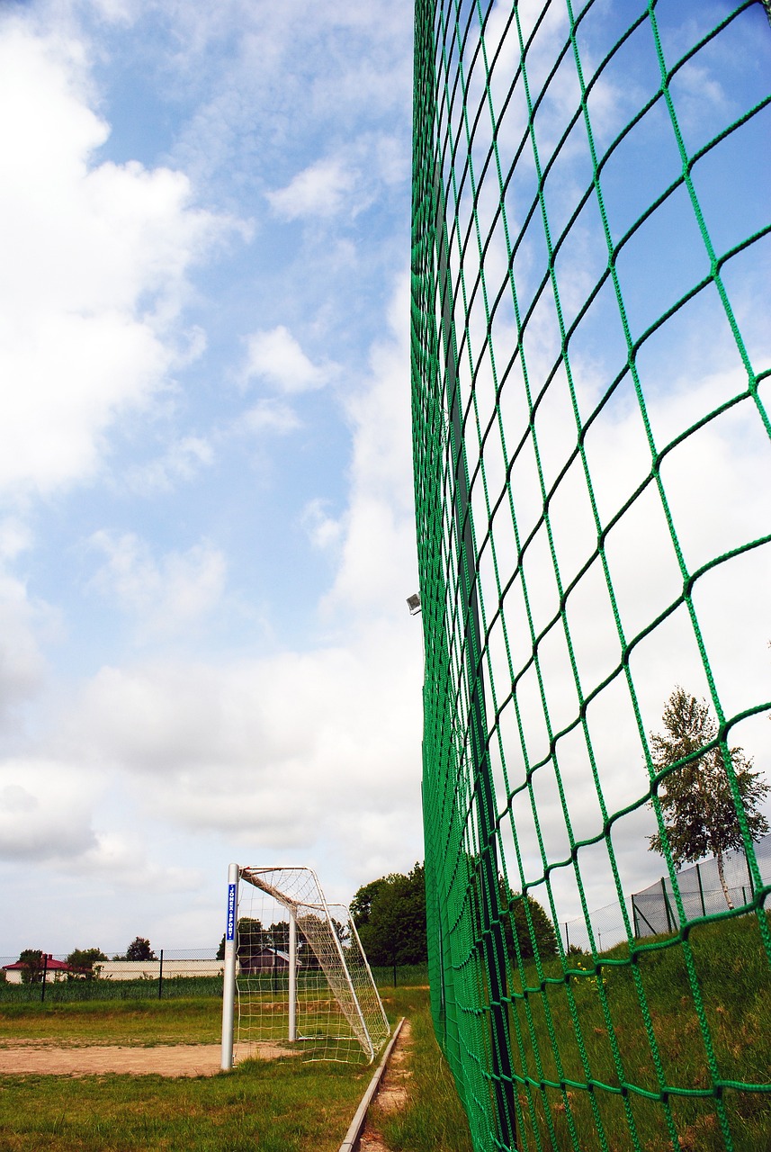 探讨这一赛 探讨这一赛